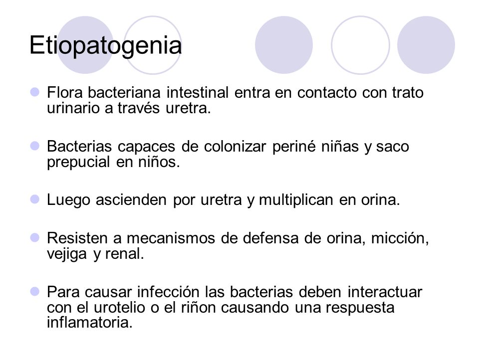 bacterias en la uretra